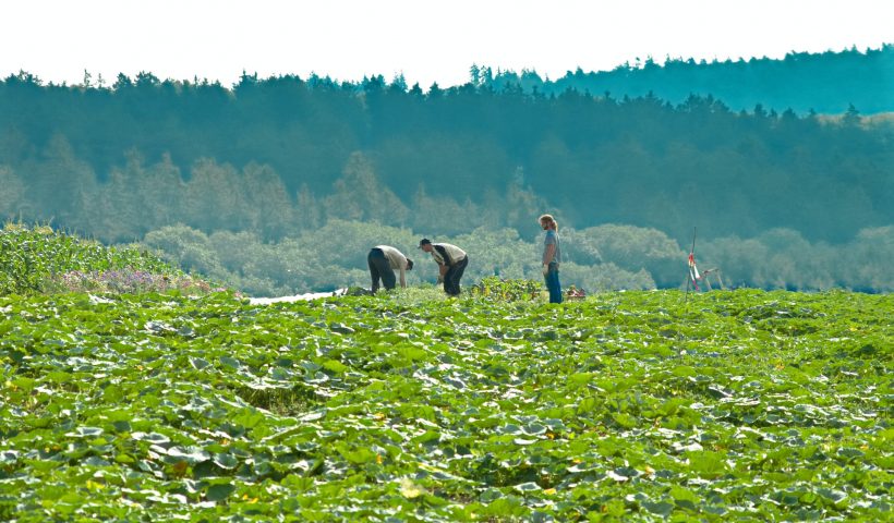 De juiste medewerkers voor agrarische functies