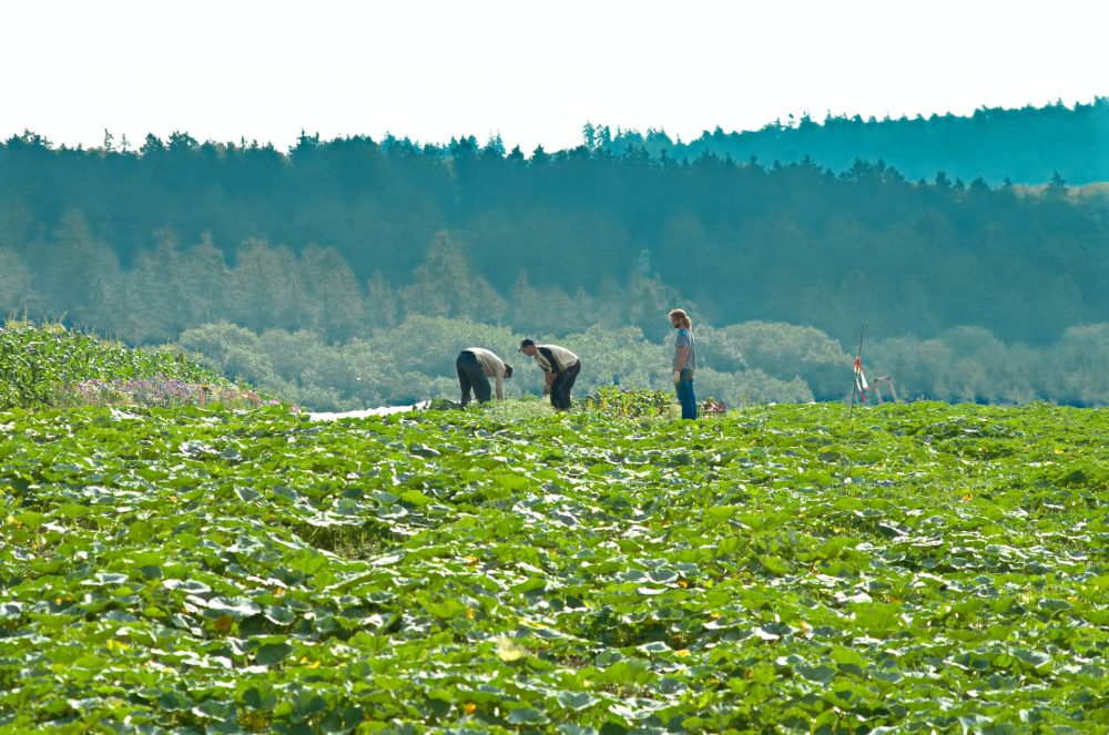 De juiste medewerkers voor agrarische functies